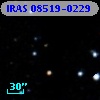 IRAS 08519-0229