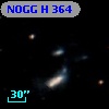 NOGG H  364