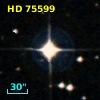 HD  75599