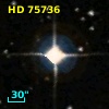 HD  75736