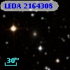 LEDA 2164308