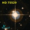 HD  75529