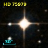 HD  75979