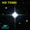 HD  75980