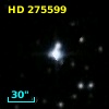 HD 275599