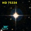 HD  75334