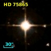 HD  75865