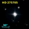 HD 275705