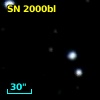 SN 2000bl