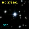 HD 275591