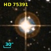 HD  75391