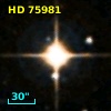 HD  75981
