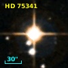 HD  75341