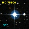 HD  75600