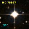 HD  75867