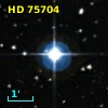 HD  75704