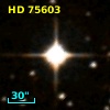 HD  75603