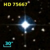 HD  75667