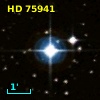 HD  75941