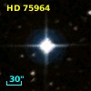 HD  75964