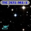 TYC 2871-981-1