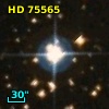 HD  75565