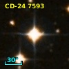 CD-24  7593