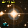 HD  75564