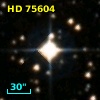 HD  75604