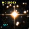 HD  75983