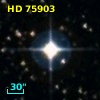 HD  75903