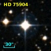 HD  75904