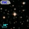TYC 7137-515-1