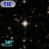 TYC 7137-2313-1