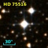 HD  75516