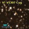 V* V1307 Cyg