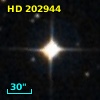HD 202944