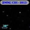 [EM96] COS-1013