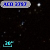 ACO  3787