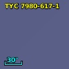 TYC 7980-617-1