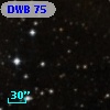 DWB  75