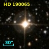 HD 190065
