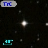 TYC 7995-685-1