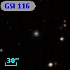 GSI 116