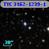 TYC 3162-1239-1