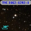 TYC 3162-1292-1
