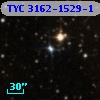 TYC 3162-1529-1