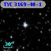 TYC 3169-40-1