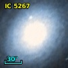 IC 5267