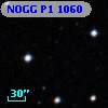 NOGG P1 1060
